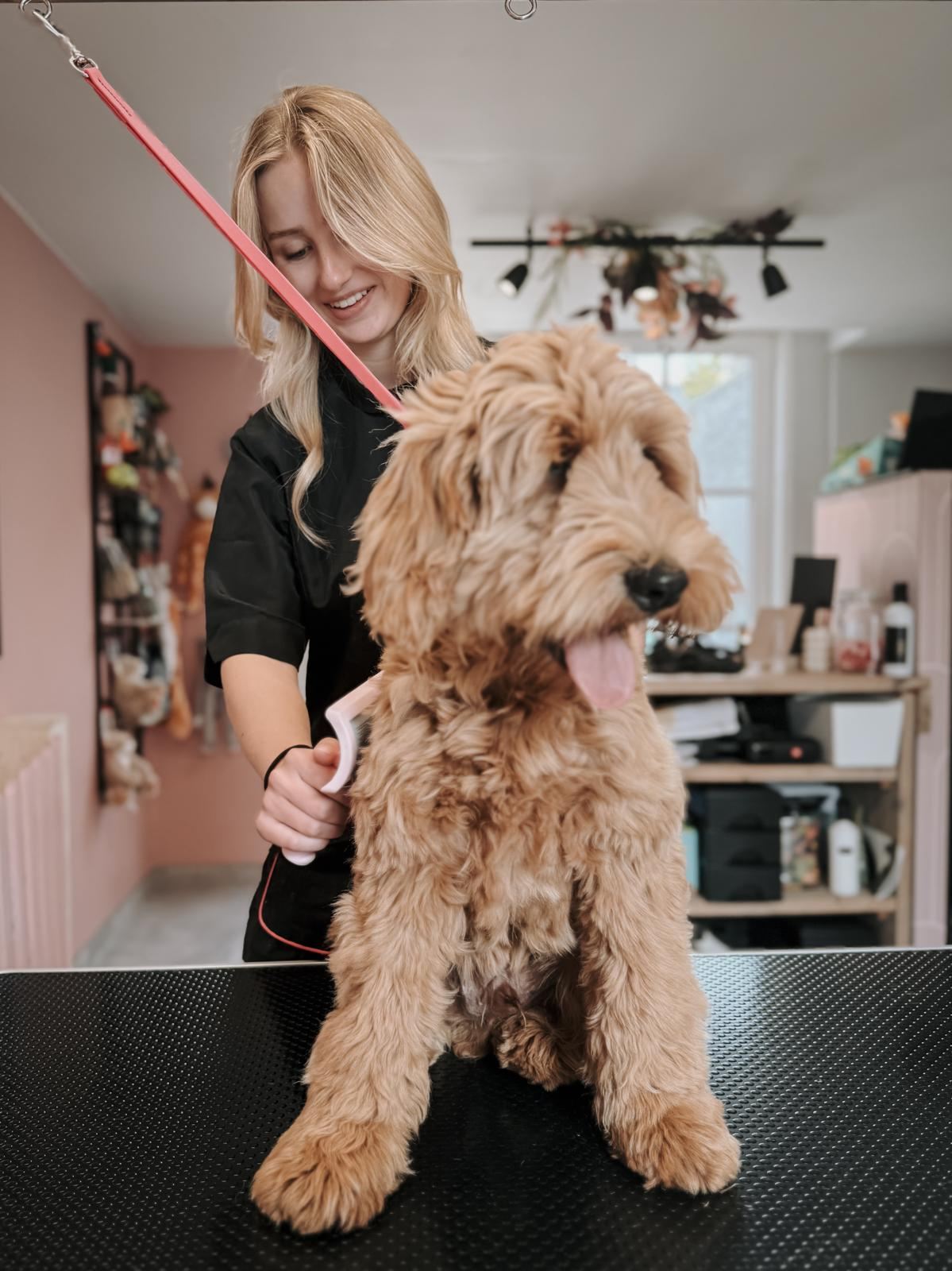 Tessa, hondentrimster van De Snuitstylist, met een hond op de trimtafel